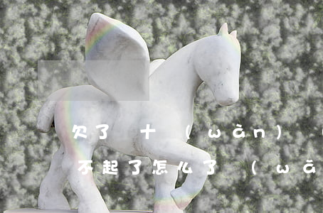 欠了幾十萬(wàn)網(wǎng)貸還不起了怎么了(網(wǎng)貸欠幾十萬(wàn)還不上)