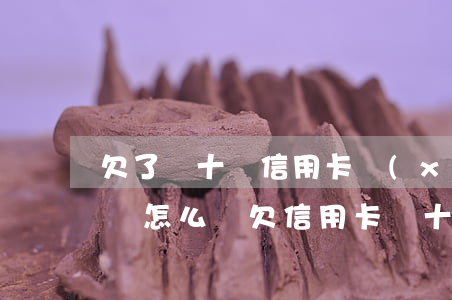 欠了幾十萬信用卡現(xiàn)在沒有錢還怎么辦（欠信用卡幾十萬想死）