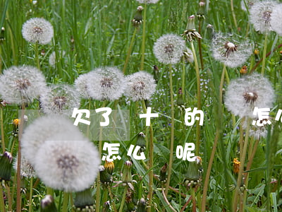 欠了幾十萬的債該怎么辦-欠了幾十萬的債該怎么辦呢
