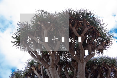 欠了幾十萬的網(wǎng)貸怎么還(欠網(wǎng)貸十幾萬該怎么辦)
