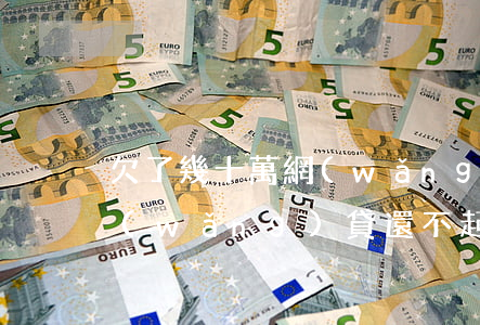 欠了幾十萬網(wǎng)貸(欠了幾十萬網(wǎng)貸還不起)