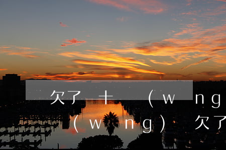欠了幾十萬網(wǎng)貸還不起怎么辦(網(wǎng)貸欠了二十萬還不起怎么辦)