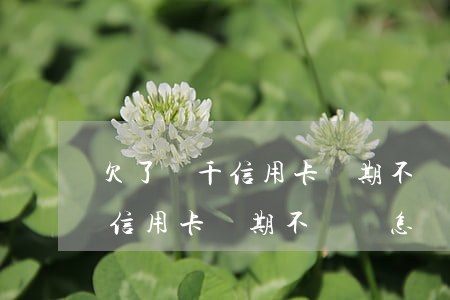 欠了幾千信用卡長期不還會怎樣-欠了幾千信用卡長期不還會怎樣呢