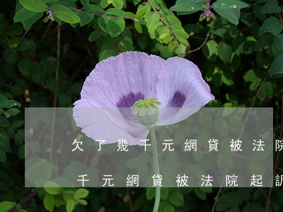 欠了幾千元網貸被法院起訴會怎樣-欠了幾千元網貸被法院起訴會怎樣處理