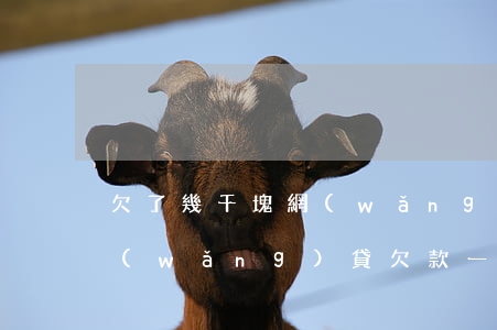 欠了幾千塊網(wǎng)貸會不會坐牢(網(wǎng)貸欠款一萬多會坐牢嗎)