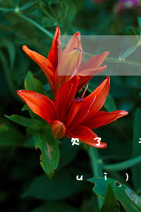 欠了幾千塊錢網(wǎng)貸不還會(huì)怎么樣(欠幾千的網(wǎng)貸不還會(huì)怎么樣)