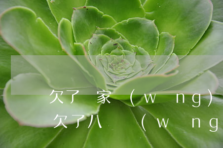 欠了幾家網(wǎng)貸8萬塊錢怎么辦(欠了八個網(wǎng)貸平臺沒錢還)