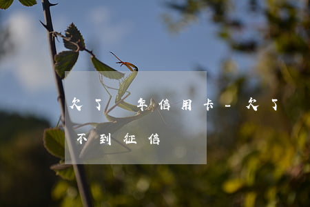 欠了幾年信用卡-欠了幾年信用卡為什么查不到征信