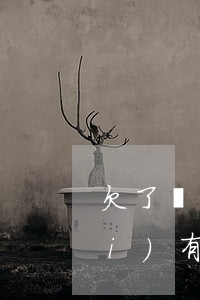 欠了幾年的網(wǎng)貸分期沒(méi)有還怎么辦(網(wǎng)貸好幾年沒(méi)還了怎么辦)