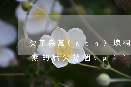 欠了幾萬(wàn)塊網(wǎng)貸逾期的話(欠幾個(gè)網(wǎng)貸逾期了怎么辦)