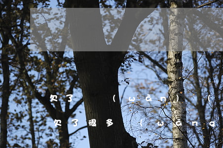 欠了幾萬(wàn)網(wǎng)貸死了(欠了很多網(wǎng)貸死了還要不要還)