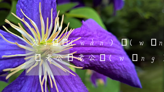 欠了幾萬(wàn)網(wǎng)貸要告訴老公嗎(老公網(wǎng)貸欠了一百多萬(wàn),我該怎么辦)
