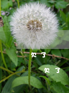 欠了幾萬元網(wǎng)貸還不起了怎么辦(欠了網(wǎng)貸幾千塊還不上怎么辦)