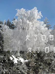 欠了幾萬網(wǎng)貸和信用卡怎么辦(欠了幾萬網(wǎng)貸和信用卡怎么辦)