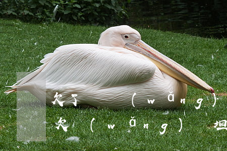 欠了幾萬網(wǎng)貸坦白家里沒辦法(欠網(wǎng)貸坦白了家人不管)