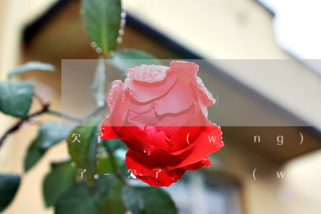 欠了幾萬網(wǎng)貸怎么辦征信又花了-欠了幾萬網(wǎng)貸怎么辦征信又花了一千多