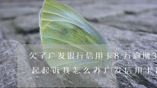 欠了广发银行信用卡8万逾期3个多月还不起起诉我怎么办（广发信用卡逾期两万说是起诉了）