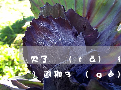 欠了廣發(fā)銀行信用卡8萬(wàn)逾期3個(gè)多月還不起起訴我怎么辦（廣發(fā)銀行逾期4個(gè)月會(huì)起訴我嗎）
