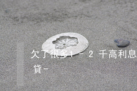 欠了很多1-2千高利息的網(wǎng)貸-