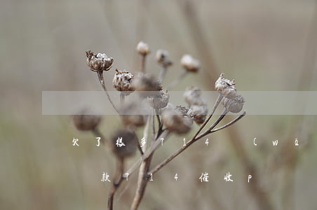 欠了很多714網(wǎng)貸p圖(小額貸款714催收p圖)