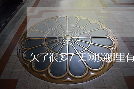 欠了很多7天网贷(哪里有七天的网贷)