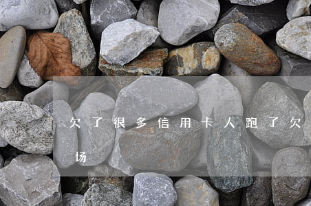 欠了很多信用卡人跑了(欠信用卡跑路什么下场)