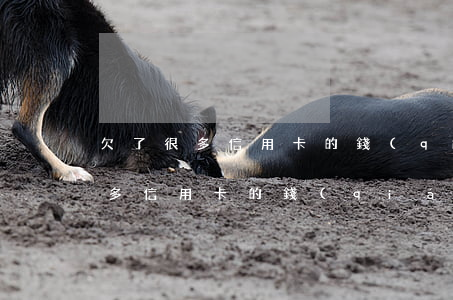 欠了很多信用卡的錢(qián)-欠了很多信用卡的錢(qián)怎么還