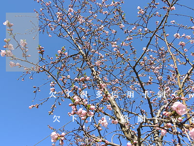 欠了很多信用卡網(wǎng)貸怎么止損(欠下了巨額網(wǎng)貸和信用卡,該何去何從)