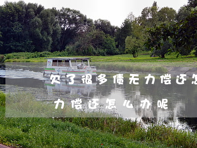 欠了很多债无力偿还怎么办-欠了很多债无力偿还怎么办呢
