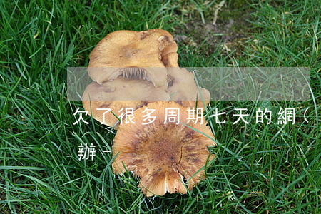 欠了很多周期七天的網(wǎng)貸怎么辦-