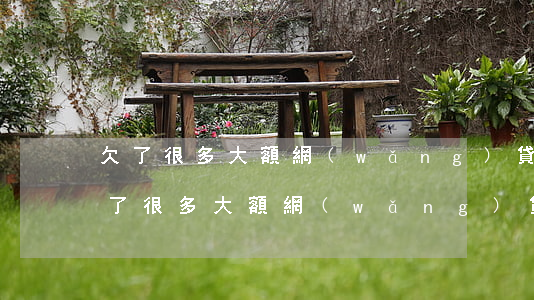 欠了很多大額網(wǎng)貸怎么辦-欠了很多大額網(wǎng)貸怎么辦呢