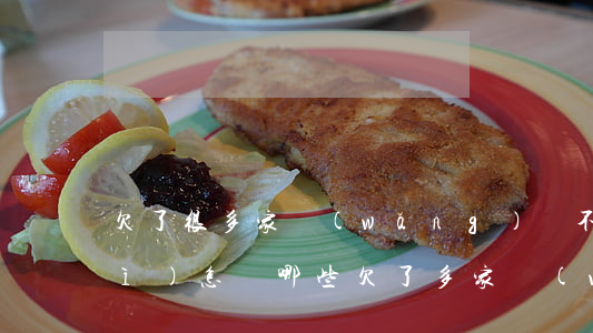 欠了很多家網(wǎng)貸不還會(huì)怎樣(哪些欠了多家網(wǎng)貸還不上的人,到最后都怎么樣了?)