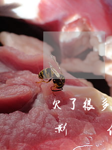 欠了很多小貸影響辦信用卡嗎(欠了很多小貸影響辦信用卡嗎)