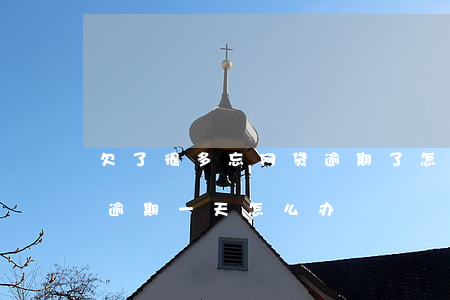 欠了很多忘网贷逾期了怎么办(网贷忘了还款逾期一天怎么办)