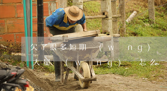 欠了很多短期網(wǎng)貸怎么辦(欠下大量網(wǎng)貸怎么辦?)