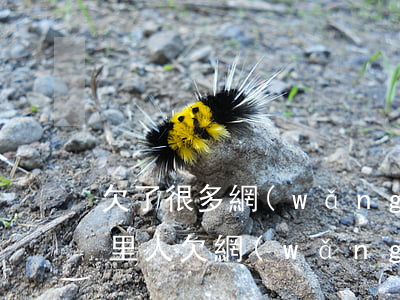 欠了很多網(wǎng)貸不敢告訴家人(家里人欠網(wǎng)貸)