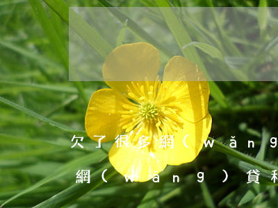 欠了很多網(wǎng)貸加信用卡怎么辦(網(wǎng)貸和信用卡欠了十幾萬,應該怎么辦?)
