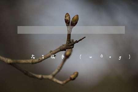 欠了很多網(wǎng)貸可以申請低保嗎
