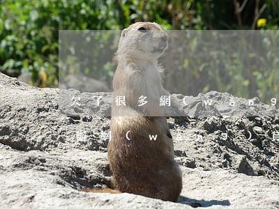 欠了很多網(wǎng)貸名下有房子怎么辦(網(wǎng)貸名下有房不還款)