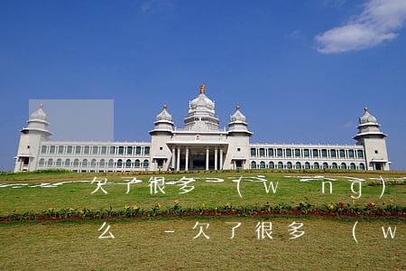欠了很多網(wǎng)貸和信用卡錢該怎么辦-欠了很多網(wǎng)貸和信用卡錢該怎么辦呢