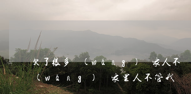 欠了很多網(wǎng)貸家人不幫(欠了網(wǎng)貸家里人不管我)