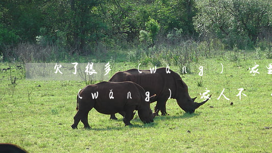 欠了很多網(wǎng)貸家里不愿幫(欠了網(wǎng)貸家人不幫忙怎么辦)