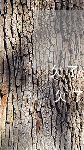 欠了很多網(wǎng)貸家里不管怎么辦(欠了網(wǎng)貸家里也還不上怎么辦)
