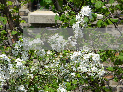 欠了很多網(wǎng)貸家里人沒(méi)能力怎么辦-欠了很多網(wǎng)貸家里人沒(méi)能力怎么辦呢