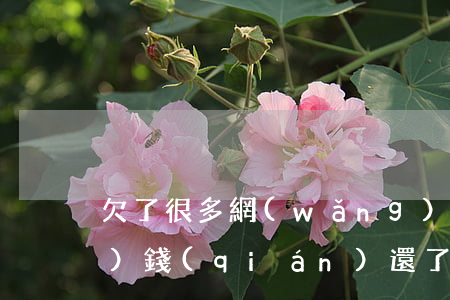 欠了很多網(wǎng)貸 家里沒(méi)錢(qián)還了(欠幾萬(wàn)塊錢(qián)網(wǎng)貸沒(méi)錢(qián)還怎么辦)