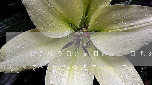 欠了很多網(wǎng)貸怎么保全老婆孩子-欠了很多網(wǎng)貸怎么保全老婆孩子的財產(chǎn)