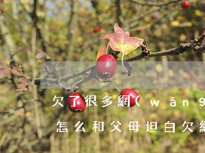 欠了很多網(wǎng)貸怎么向父母坦白(怎么和父母坦白欠網(wǎng)貸)