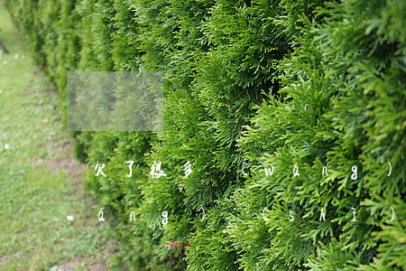 欠了很多網(wǎng)貸怎么和強(qiáng)勢(shì)老婆說(shuō)-欠了很多網(wǎng)貸怎么和強(qiáng)勢(shì)老婆說(shuō)呢