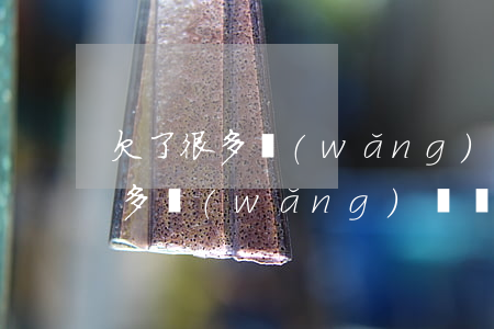 欠了很多網(wǎng)貸怎么回頭(欠了很多網(wǎng)貸該怎么辦)