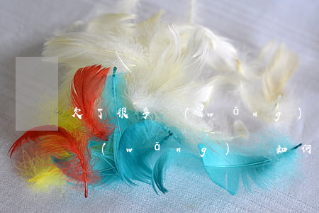 欠了很多網(wǎng)貸怎么弄(欠一大堆網(wǎng)貸如何處理)